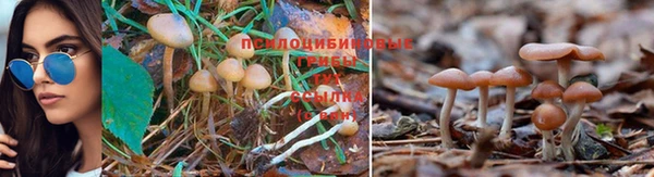молекула духа Балабаново